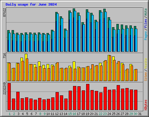 Daily usage for June 2024