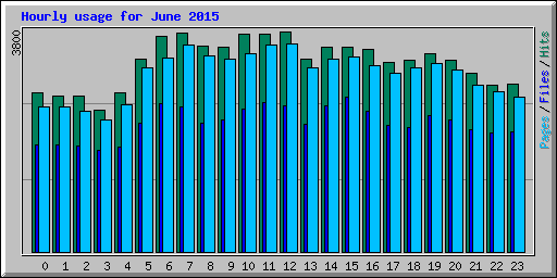 Hourly usage for June 2015