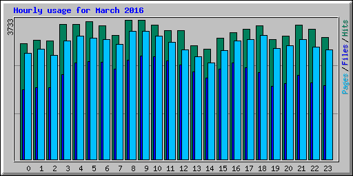 Hourly usage for March 2016