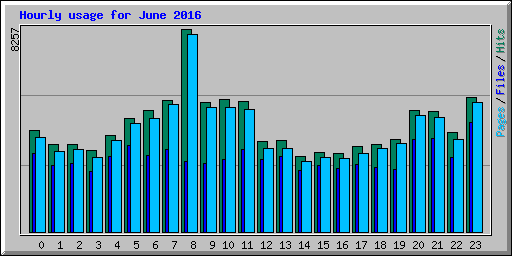 Hourly usage for June 2016