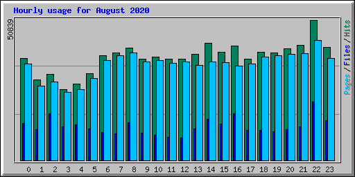 Hourly usage for August 2020