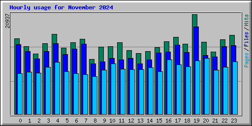 Hourly usage for November 2024