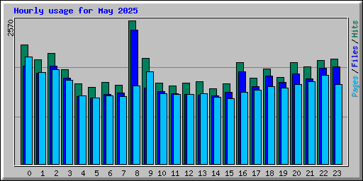 Hourly usage for May 2025
