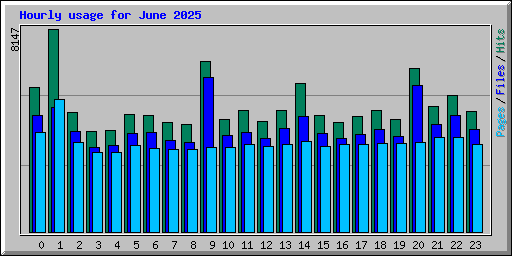Hourly usage for June 2025