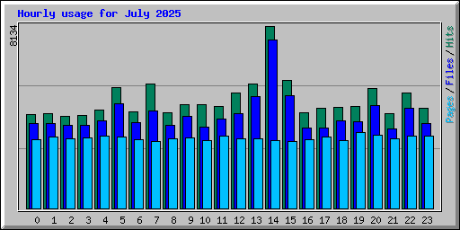 Hourly usage for July 2025