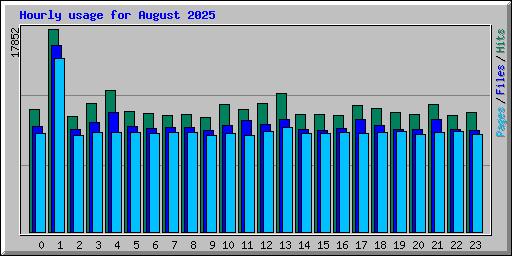 Hourly usage for August 2025