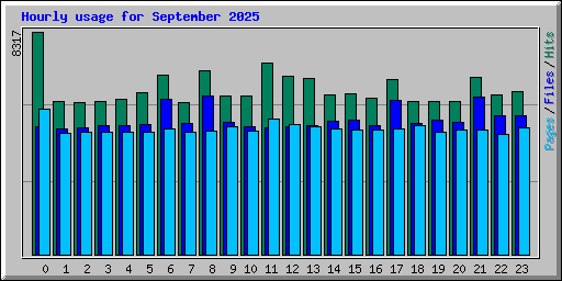 Hourly usage for September 2025