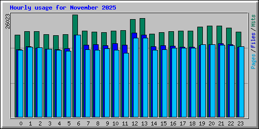 Hourly usage for November 2025