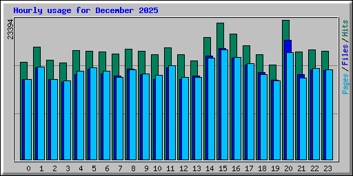 Hourly usage for December 2025