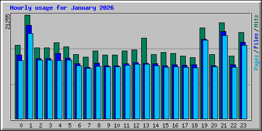 Hourly usage for January 2026