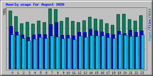 Hourly usage for August 2026